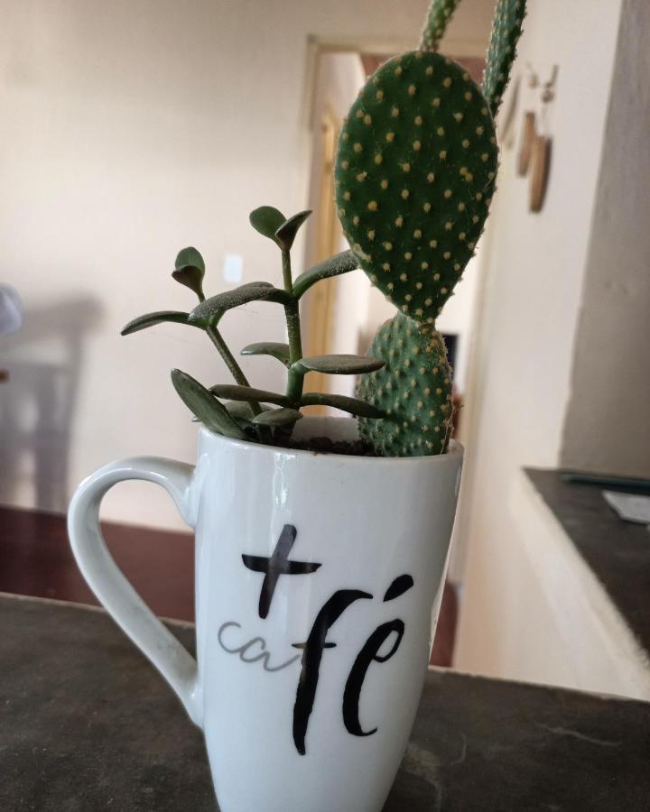 Casinha Verde باسا كواترو المظهر الخارجي الصورة